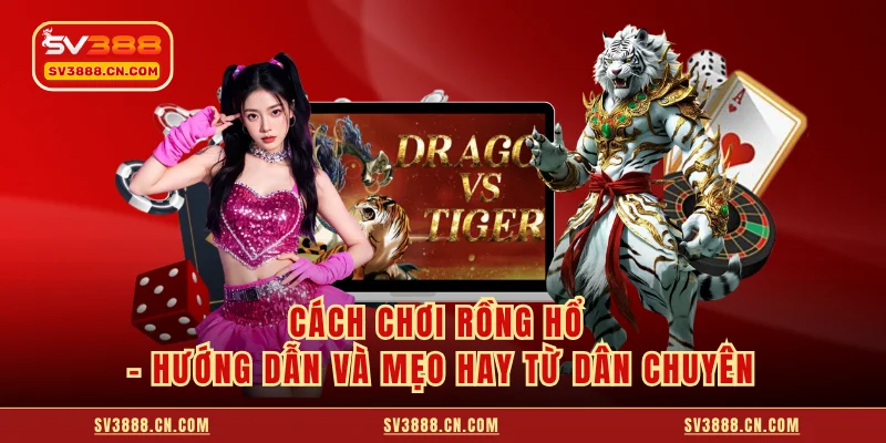 Cách Chơi Rồng Hổ - Hướng Dẫn Và Mẹo Hay Từ Dân Chuyên 2 Cách Chơi Rồng Hổ - Hướng Dẫn Và Mẹo Hay Từ Dân Chuyên