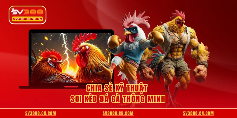 Luật Cược Đá Gà - Chia Sẻ Chi Tiết Từ A - Z Cho Người Mới 4 Chia sẻ kỹ thuật soi kèo đá gà thông minh