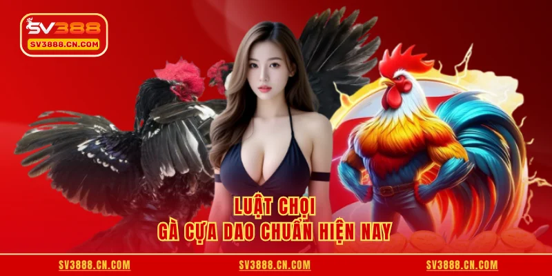 Luật chọi gà cựa dao chuẩn hiện nay
