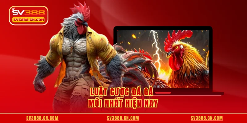 Luật Cược Đá Gà - Chia Sẻ Chi Tiết Từ A - Z Cho Người Mới 3 Luật cược đá gà mới nhất hiện nay