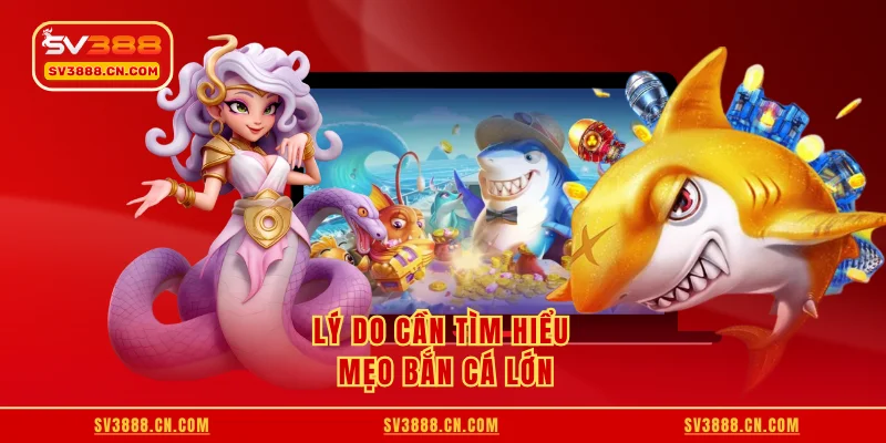 Lý do cần tìm hiểu mẹo bắn cá lớn