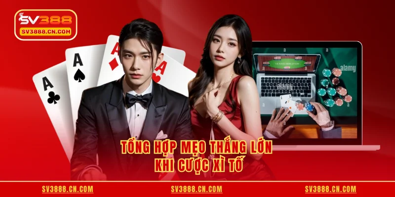 Tổng hợp mẹo thắng lớn khi cược xì tố